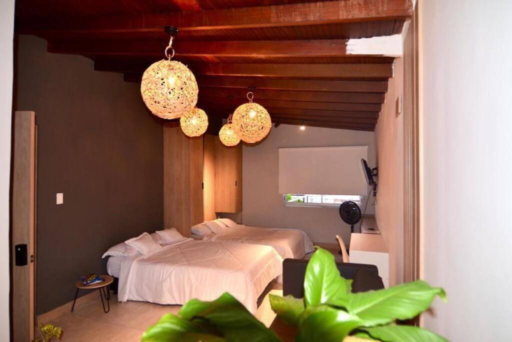 Moderno Apartamento Con Jacuzzi Y Aire Acondicionado Apartamento *